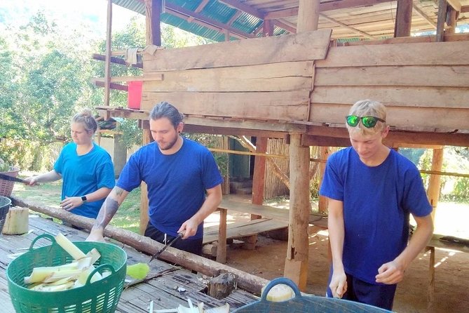 Top Pick - Full or Half Day @Elephant in Wild Sanctuary ChiangMai - The trek to the waterfall: what the hike really demands
