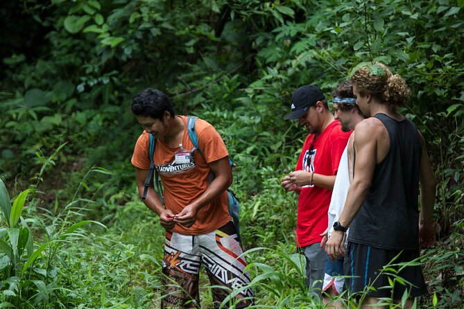 Trek to a Jungle Waterfall - Why This Jungle Waterfall Trek Works in Chiang Mai