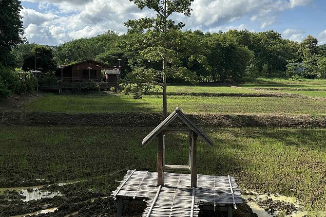 Unseen Sukhothai Province 2 Days 1 Night Private Tour - Should you book this Unseen Sukhothai private tour with Pagoda View Tours?