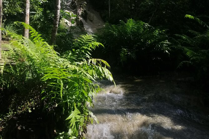 Visit Dantewada(Angel Land), Blue Temple, and Sticky Waterfall - How this Chiang Mai half-day really stays organized
