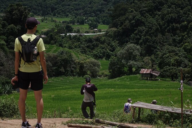 Waterfall Wanderer Doi Inthanon Hiking Tour - Price and value: $87.44 for a guided full day