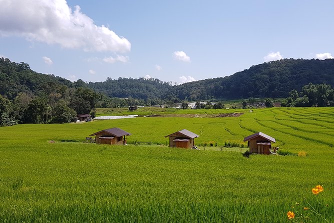 Wow! Doi Inthanon National Park Adventure, Lunch & Entry Included - Highest Spot in Thailand: Doi Inthanon Easy Walk and Birding Chances