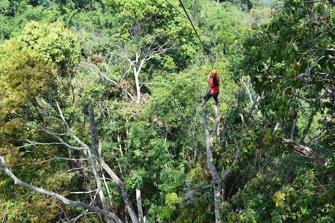 Zipline Adventure at Skyline Jungle Luge Chiang Mai - Who This Is For, and Who Should Think Twice